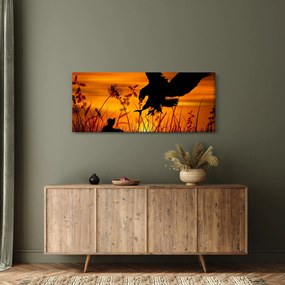 Obraz siluety dravca (120x50 cm)