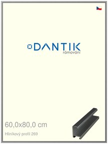 DANTIK rám na obraz 60x80 | ALU Šedá leská (Plexi Čiré)