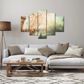 Obraz - Rastliny po daždi (150x105 cm)