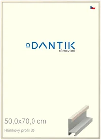 DANTIK rám na obraz 50x70 | ALU Dýha slonová kost (Plexi Čiré)