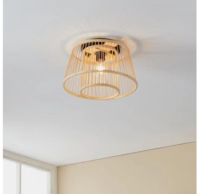 Eglo 43851 - Stropné svietidlo HYKEHAM 1xE27/40W/230V