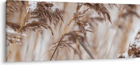 Obraz - Lipnica (120x50 cm)