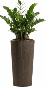 Květináč URBANIKA Coffee 36,4x19,6 cm hnědý