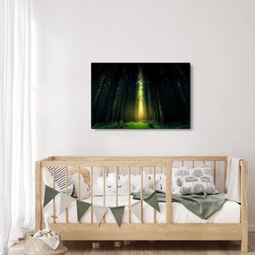 Obraz temného lesa (90x60 cm)