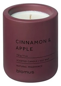 Vonná sójová sviečka doba horenia 24 h Fraga: Cinnamon & Apple – Blomus