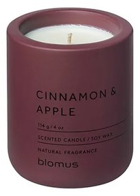 Vonná sójová sviečka doba horenia 24 h Fraga: Cinnamon &amp; Apple – Blomus