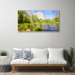 Skleneny obraz Jazero hora les príroda 120x60 cm
