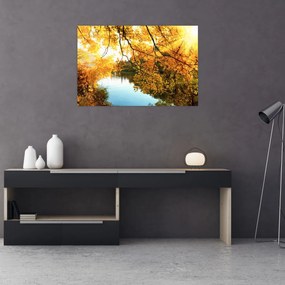Obraz - Jesenný strom (90x60 cm)