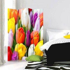 Ozdobný paraván Barevné květy tulipánů - 145x170 cm, štvordielny, obojstranný paraván 360°