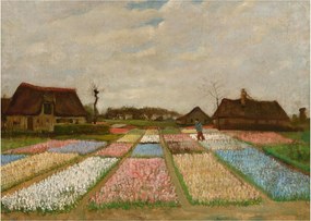 Sklenený obraz - Vincent van Gogh, Flower Beds in Holland, reprodukcia (70x50 cm)