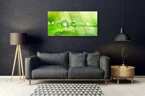 Skleneny obraz List kvapky rosa rastlina 140x70 cm