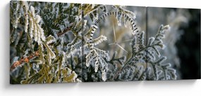 Obraz - Detail vetvy (s hodinami) (90x30 cm)