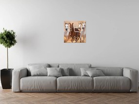 Gario Obraz s hodinami Cválajúce kone Rozmery: 60 x 40 cm