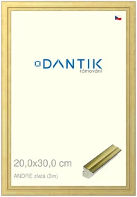 DANTIK rám na obraz 20x30 | ANDRE zlatá (Sklo Čiré)