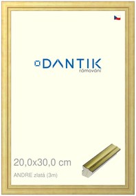 DANTIK rám na obraz 20x30 | ANDRE zlatá (Sklo Čiré)