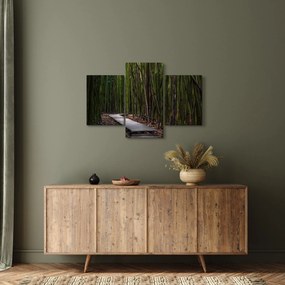 Obraz - Medzi bambusy (90x60 cm)