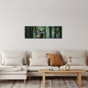 Obraz - Jeleň v hlbokom lese (s hodinami) (90x30 cm)