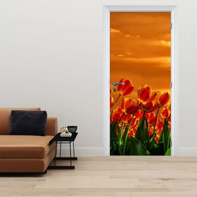 Fototapeta na dvere - Rozkvitnutý lán s tulipánmi (95x205cm)