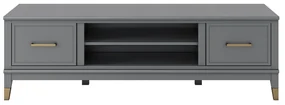 Sivý TV stolík CosmoLiving by Cosmopolitan Westerleigh