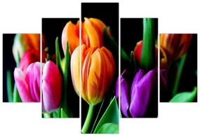 Obraz tulipánov na čiernom pozadí (150x105 cm)