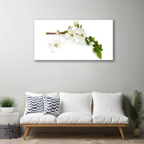 Obraz na plátne Kvet vetva príroda 120x60 cm