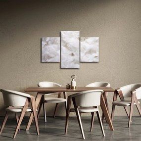 Obraz - Biele perie (90x60 cm)