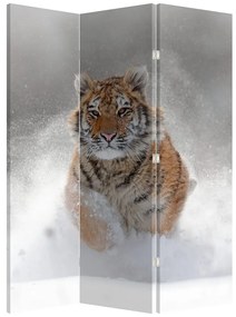 Paraván - Bežiaci tiger v snehu (126x170 cm)