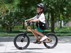 Detský bicykel Gold 18"  RoyalBaby RB18-45 - zlatý