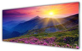 Obraz na akrylátovom skle Hory kvet lúka krajina 125x50 cm