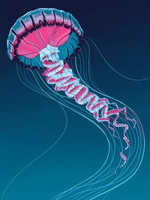 Ilustrácia Lions Mane Jellyfish, Mark Harrison