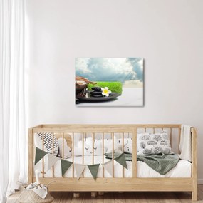 Obraz - Spa and relax (70x50 cm)