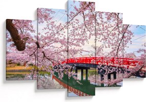 Obraz - Hirosaki, Japonsko (150x105 cm)