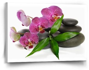 Sablio Obraz Orchidea a kamene - 90x60 cm