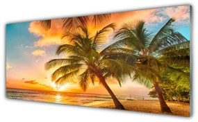 Obraz na akrylátovom skle Palma strom more krajina 125x50 cm