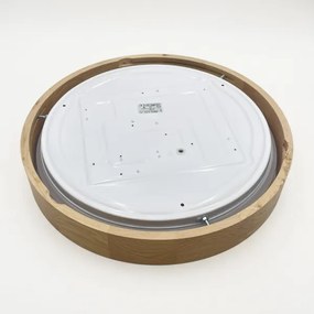 BRILAGI - LED stmievateľné stropné svietidlo MANAROLA SMART LED/24W/230V pr. 41 cm + diaľkové ovládanie
