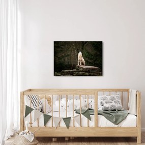 Obraz - Vytie vlka (70x50 cm)