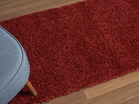 My Flair, Behúň My Shaggy weinrot, 80x200, červená, chodba / predsieň