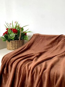 Mikroplyšová deka SOFT, hnedá Rozmer: 200 x 220 cm