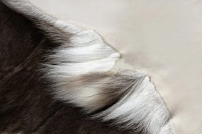 Koberec RENIFER POK014 hnedý / sivý