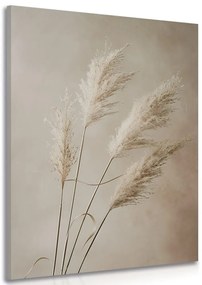 Obraz suchá pampová tráva