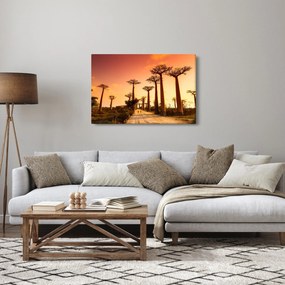 Obraz - Západ slnka v uličke Baobab (90x60 cm)
