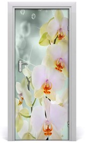 Fototapeta samolepiace orchidea 75x205 cm