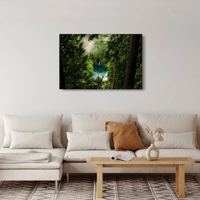 Obraz - Priezor medzi stromami (90x60 cm)