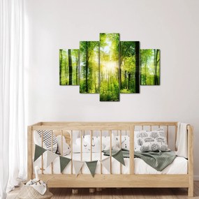 Obraz - Svitanie v lese (150x105 cm)