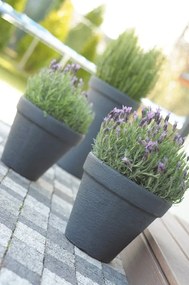 Nízky kvetináč Classic oranžový