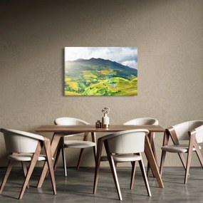 Obraz plantáže (90x60 cm)