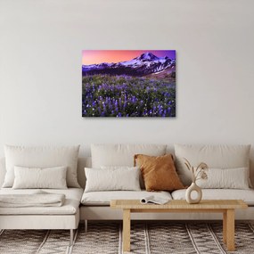 Obraz - Sopka a kvety (70x50 cm)