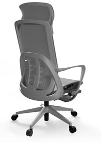 Ergonomická kancelárska stolička Liftor Orca, sivá