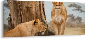 Obraz - dve levice (120x50 cm)