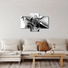 Obraz - Husle (90x60 cm)